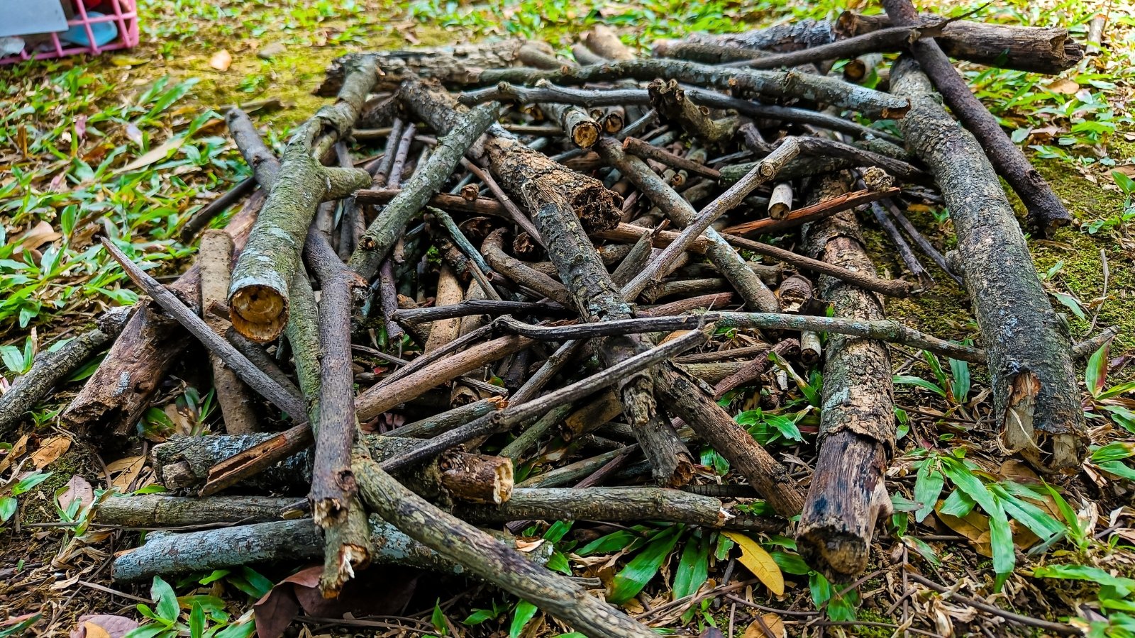 A pile of broken branches consists of jagged, uneven sticks and twigs of varying lengths, with rough, splintered edges and patches of bark.