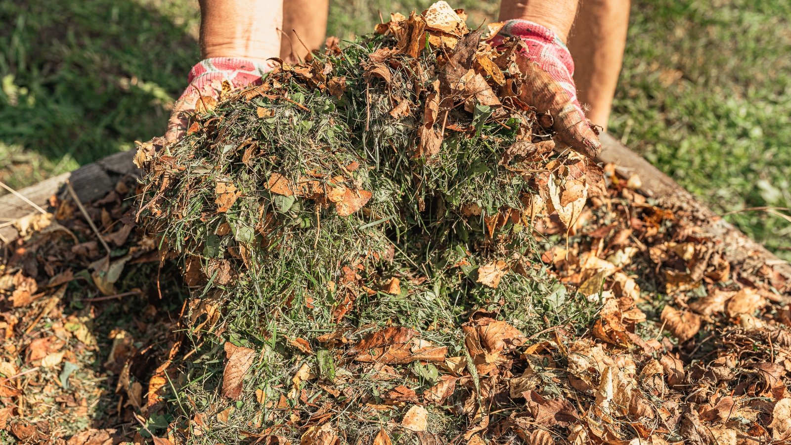 A large pile of mixed organic material with dry foliage, grass clippings, and a pair of feet stepping on top.