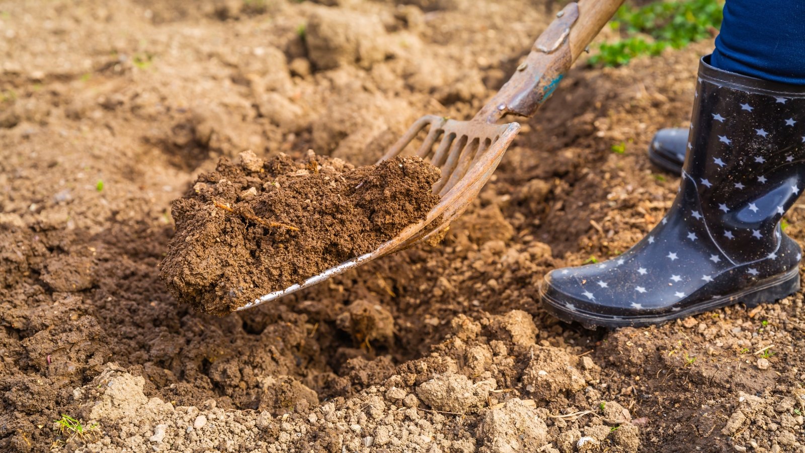 A gardener in high rubber boots presses a garden fork into the soil, turning up rich, dark earth in a neat garden bed.
