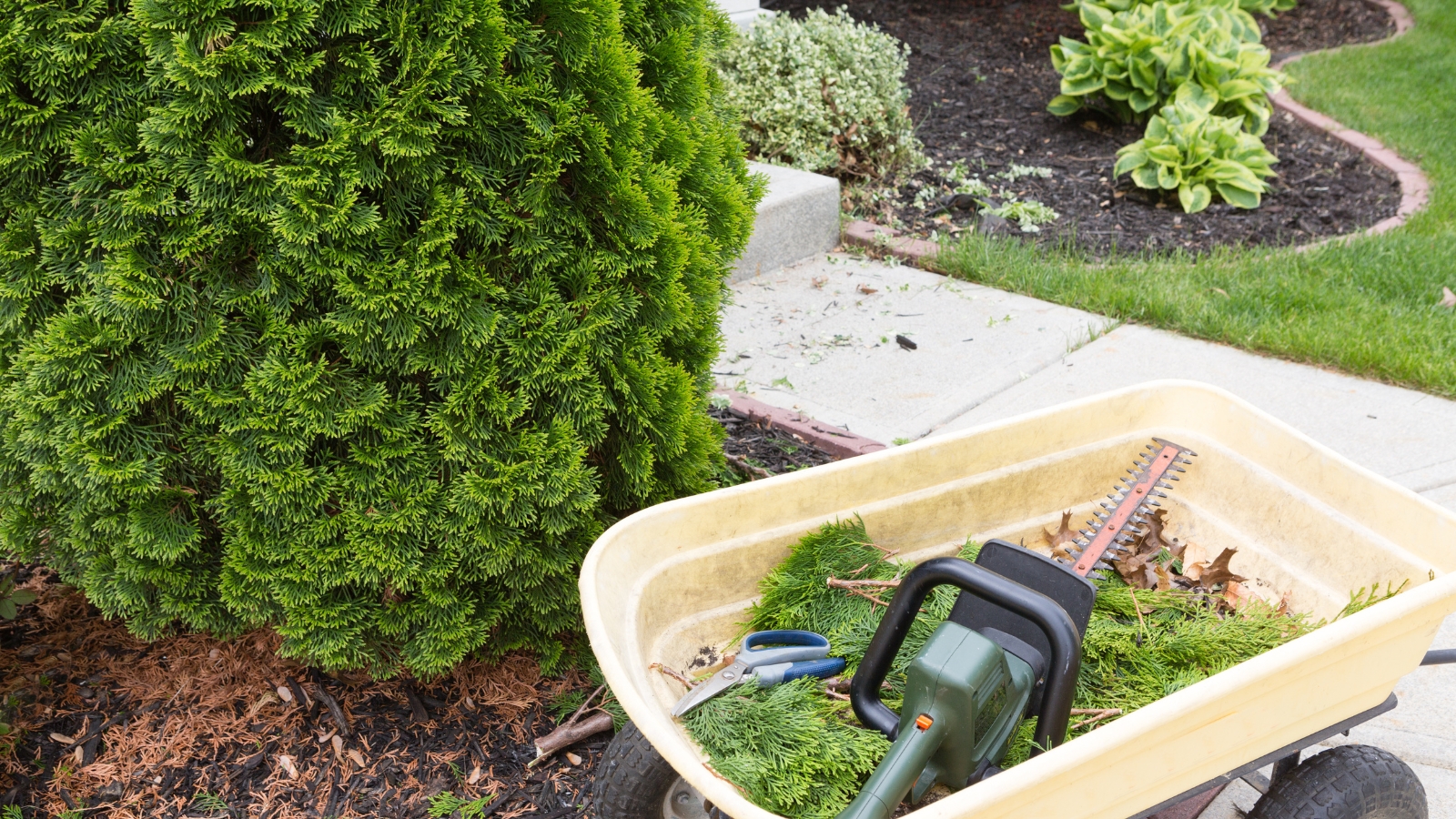 A gardener organizes freshly cut green branches and leaves in a container, with a pile of trimmed greenery accumulating in a clean, organized area.