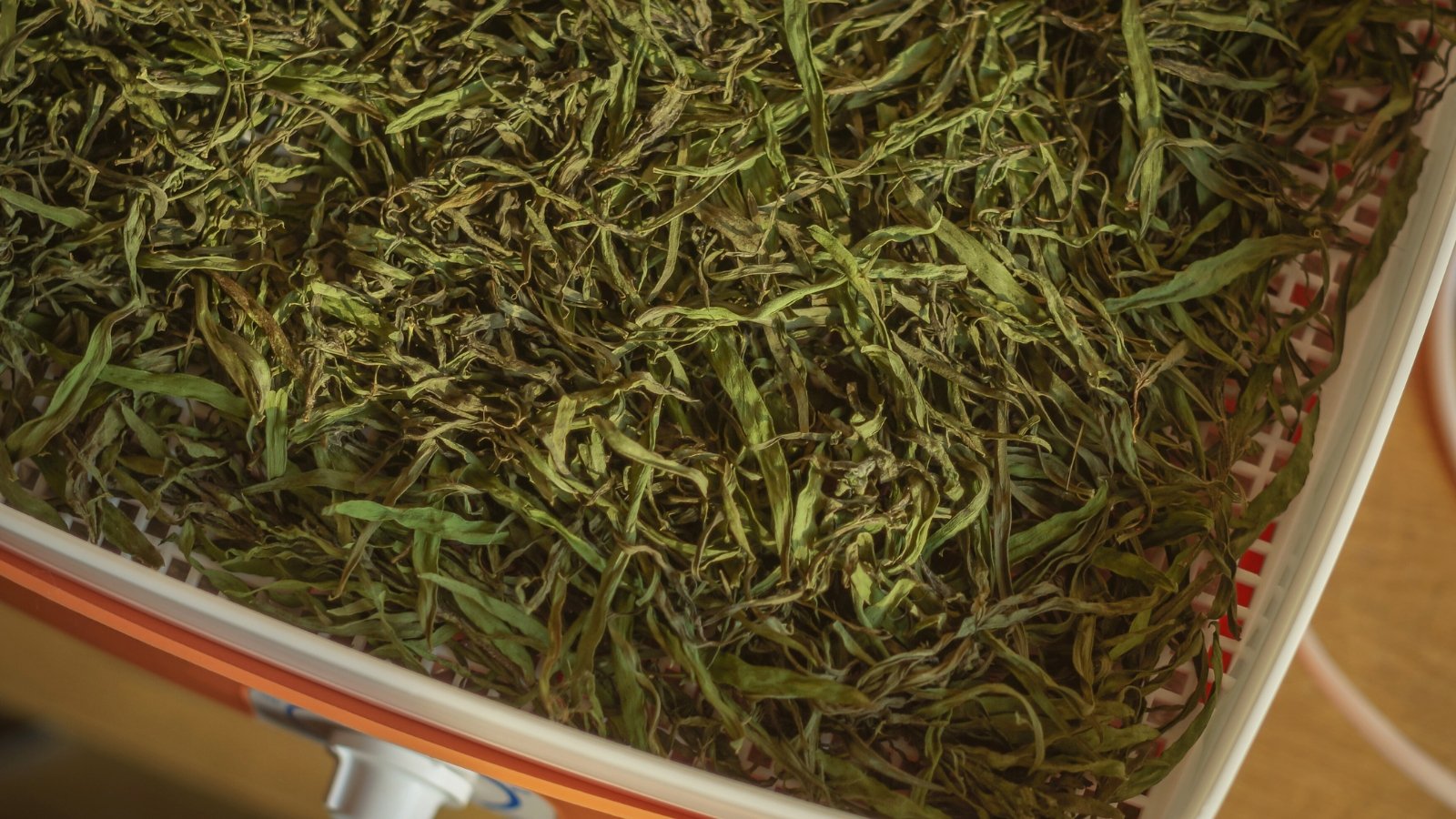 Close-up of dried, pale green herbal leaves with a twisted, oblong shape, resting in a white air fryer tray.
