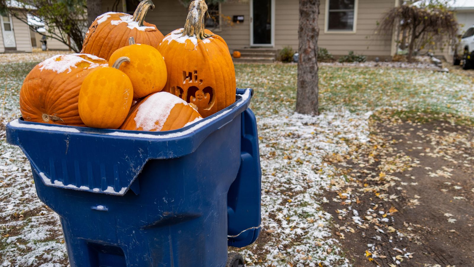 A close-up shot of a pile of spent Halloween squash décor in a blue garbage bin that is placed outdoors in the front yard 