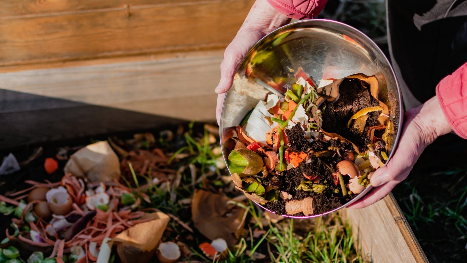 A bowl full of kitchen waste, vegetables, fruits, eggshell, coffee grounds, is added to a composter to turn into bio fertilizer.