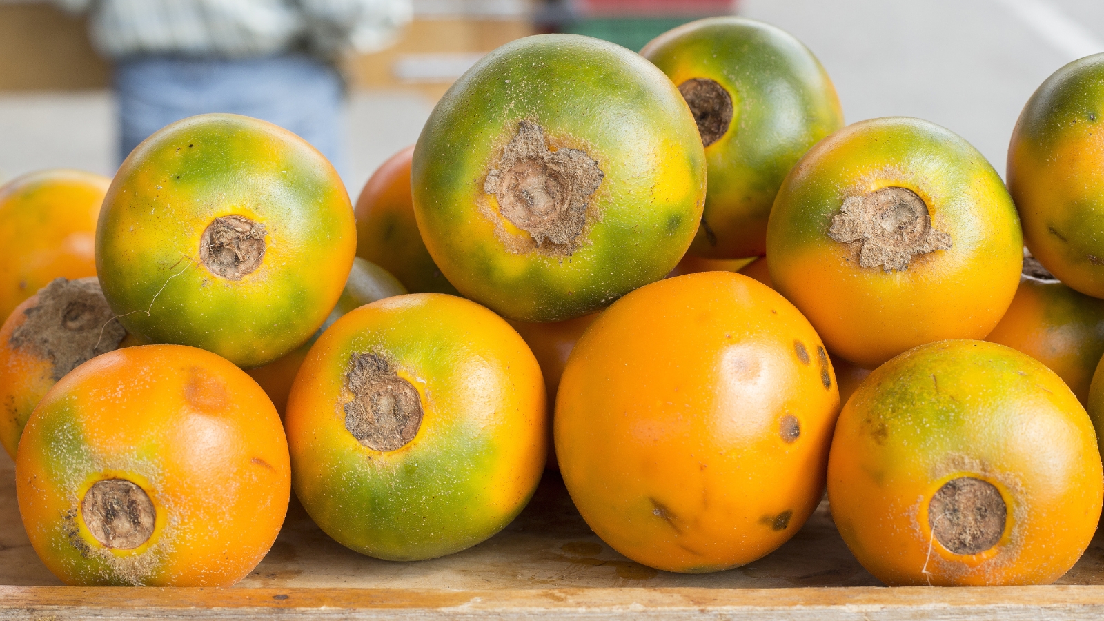 Bright orange and spherical, the fruits display a soft, fuzzy exterior with a subtle sheen.
