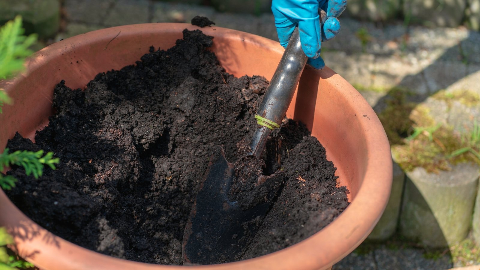 A gardener's blue-gloved hand uses a spatula to mix damp soil in a large terracotta pot, highlighting the rich, textured soil against the warm, earthy orange of the pot.
