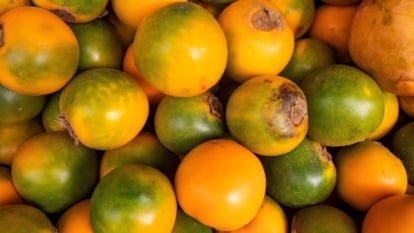 Round and vibrant orange, these fruits have a slightly fuzzy, velvety skin and a smooth, firm shape.