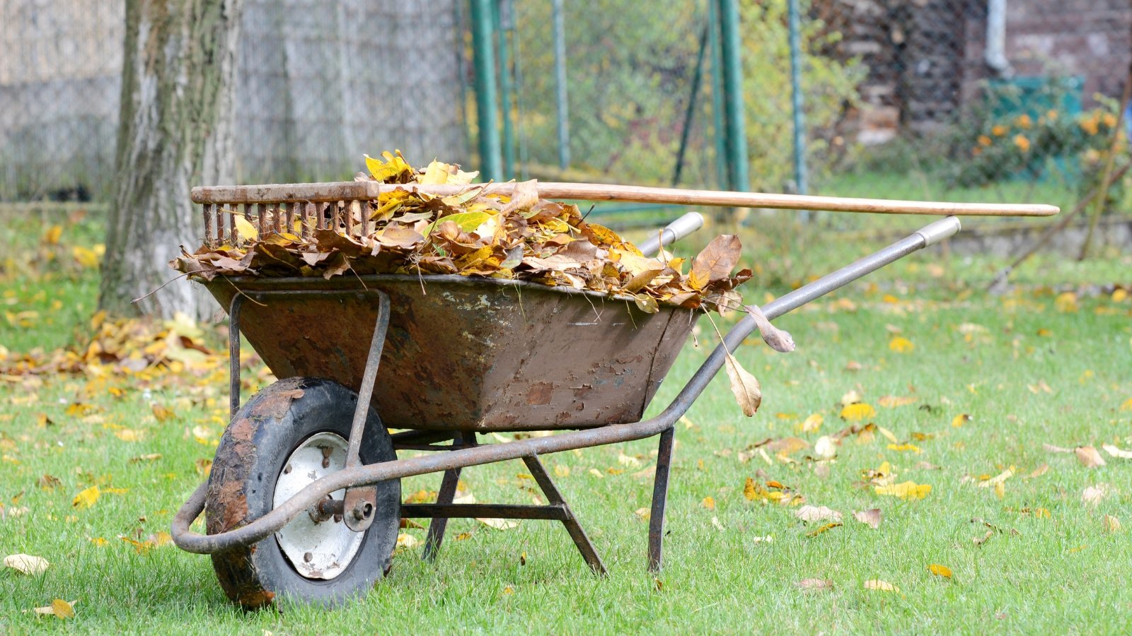 Go away It or Clear It? A Data to Cleaning Up The Fall Yard